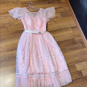 Disney Light Pink Sheer Midi Dress